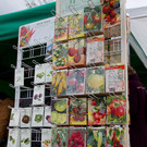 normal_20042013fmt_jungpflanzenmarkt_mw-15.jpg