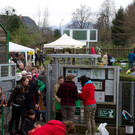 normal_20042013fmt_jungpflanzenmarkt_mw-2.jpg