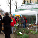 normal_20042013fmt_jungpflanzenmarkt_mw-3.jpg