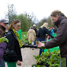 normal_20042013fmt_jungpflanzenmarkt_mw-6.jpg