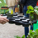 normal_20042013fmt_jungpflanzenmarkt_mw-7.jpg