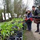 normal_20042013fmt_jungpflanzenmarkt_mw-8.jpg