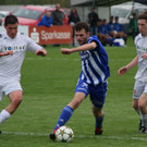 IMG_8523_jpg-1366491741