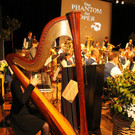 IMG_5896.JPG