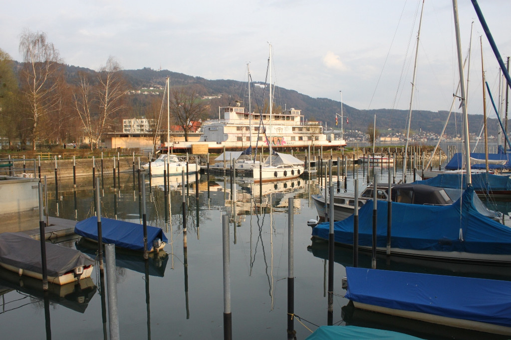 Lauftreff Leiblachtal am See 2013 _18__jpg-1366559887