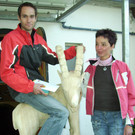 Berglauf3aSieger08_jpg-1366579193