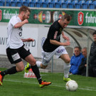 IMG_9201_jpg-1366617101