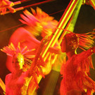 19042013circuskrone05012aktivnews__1227.JPG