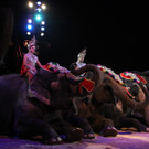 19042013circuskrone05012aktivnews__1379.JPG