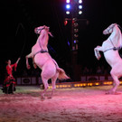 19042013circuskrone05012aktivnews__1720.JPG
