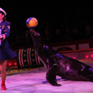 19042013circuskrone05012aktivnews__2365.JPG