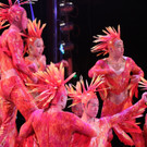 19042013circuskrone05012aktivnews__054.JPG