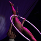19042013circuskrone05012aktivnews__037.JPG