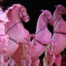 19042013circuskrone05012aktivnews__404.JPG