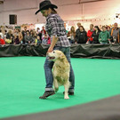 normal_21042013fmt_haustiermessewels_pm_11.JPG