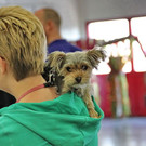 normal_21042013fmt_haustiermessewels_pm_14.JPG