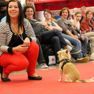 normal_21042013fmt_haustiermessewels_pm_30.JPG