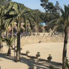 Wehinger_Ramona_2.jpg
