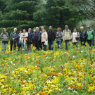 L1020499_JPG-1366703788