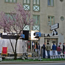 IMG_4120.JPG