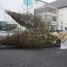 DSC_1909_jpg-1366720557