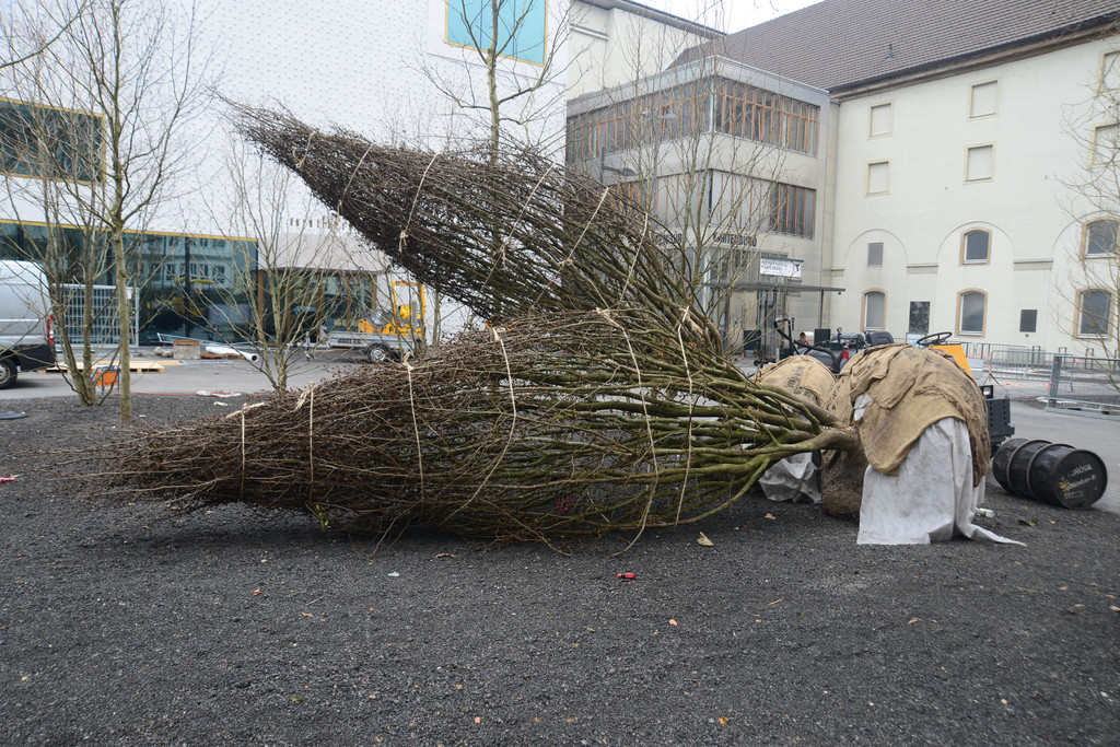 DSC_1909_jpg-1366720557