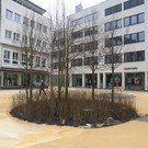 DSC_1914_jpg-1366720611