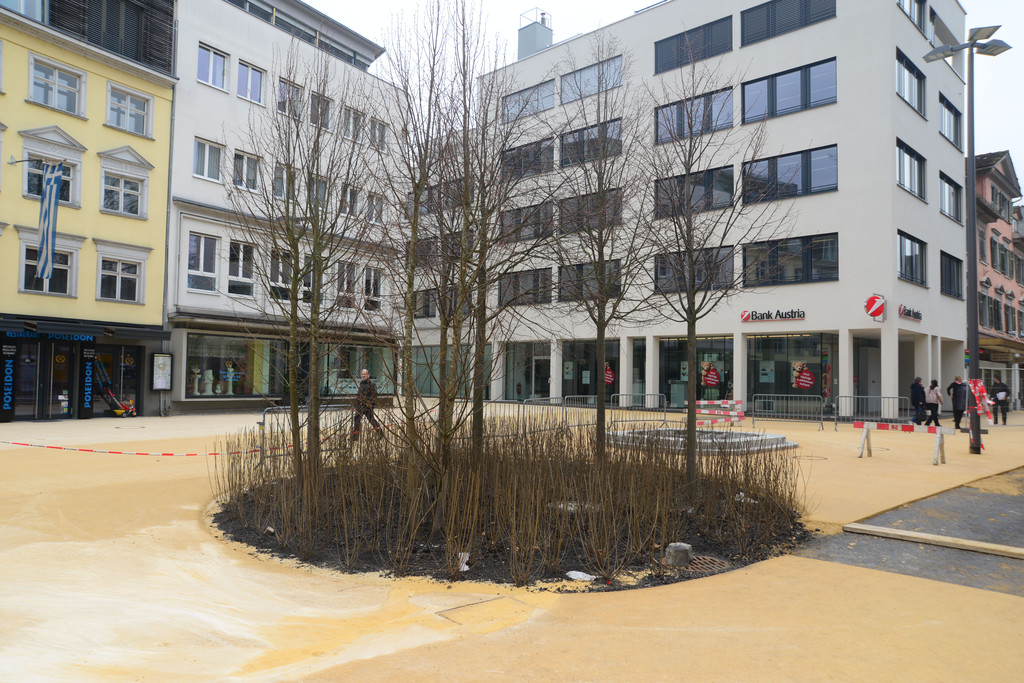 DSC_1914_jpg-1366720611