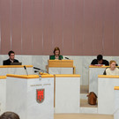 schuelerparl06_jpg-1366723079