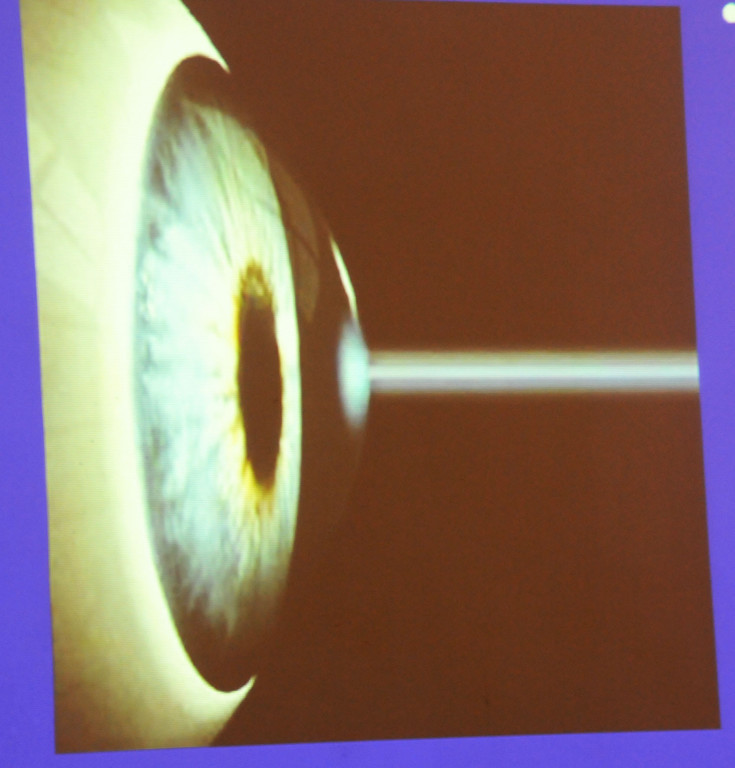 Mehrerau 22-04-2013 16_jpg-1366736242