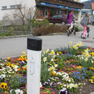 Frühlingsstimmung in Lochau