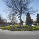 Fr__hling in Lochau April 2013 _2__jpg-1366786860