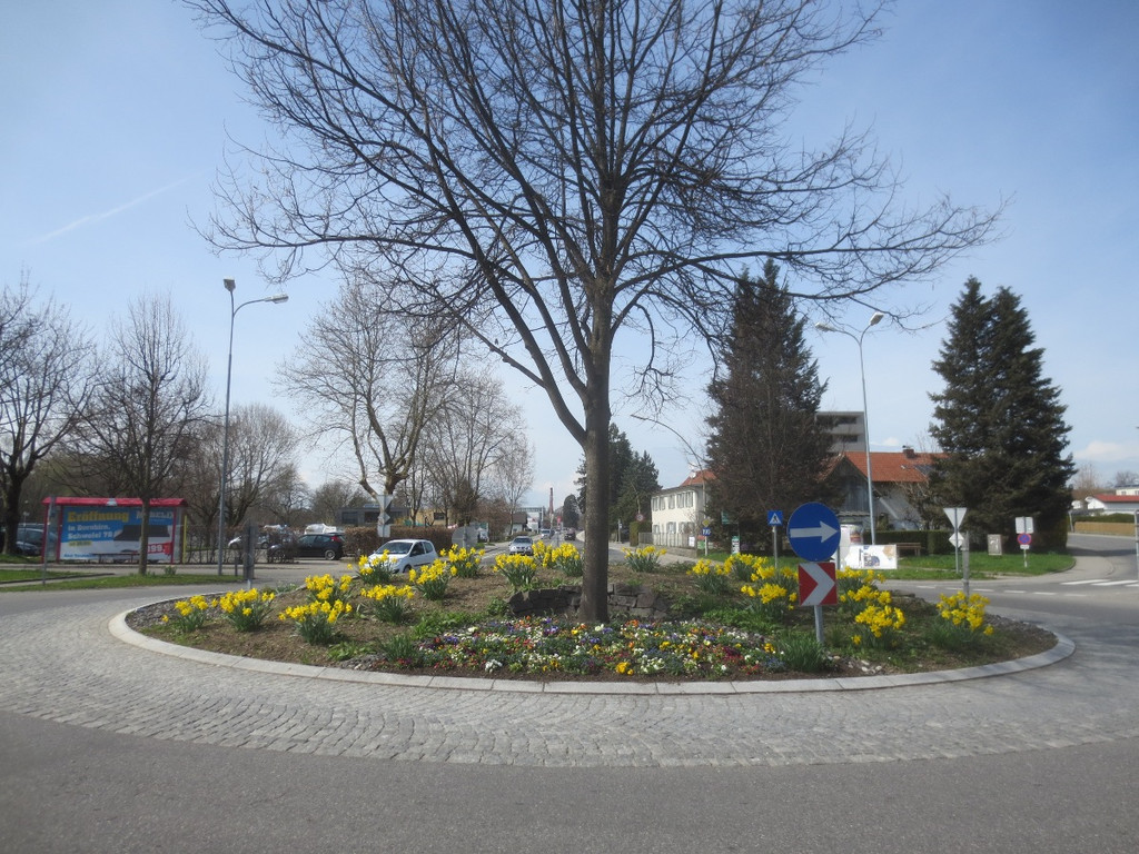 Fr__hling in Lochau April 2013 _2__jpg-1366786860