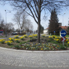 Fr__hling in Lochau April 2013 _3__jpg-1366786865