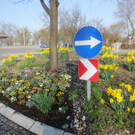 Fr__hling in Lochau April 2013 _7__jpg-1366786884