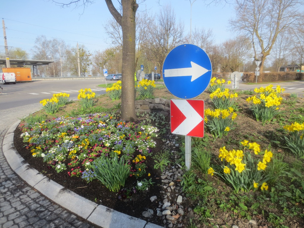 Fr__hling in Lochau April 2013 _7__jpg-1366786884