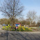 Fr__hling in Lochau April 2013 _9__jpg-1366786891