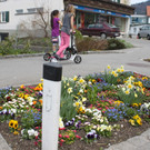 Fr__hling in Lochau April 2013 _17__jpg-1366786954