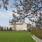 Fr__hling in Lochau April 2013 _21__jpg-1366786988