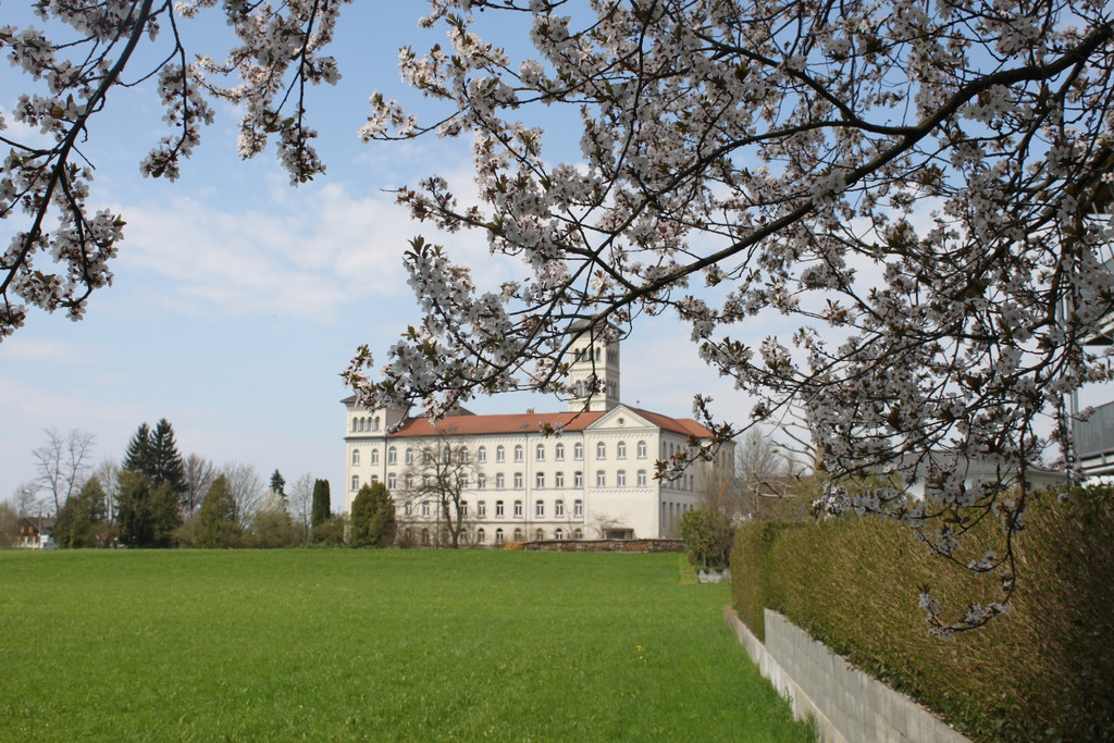 Fr__hling in Lochau April 2013 _21__jpg-1366786988