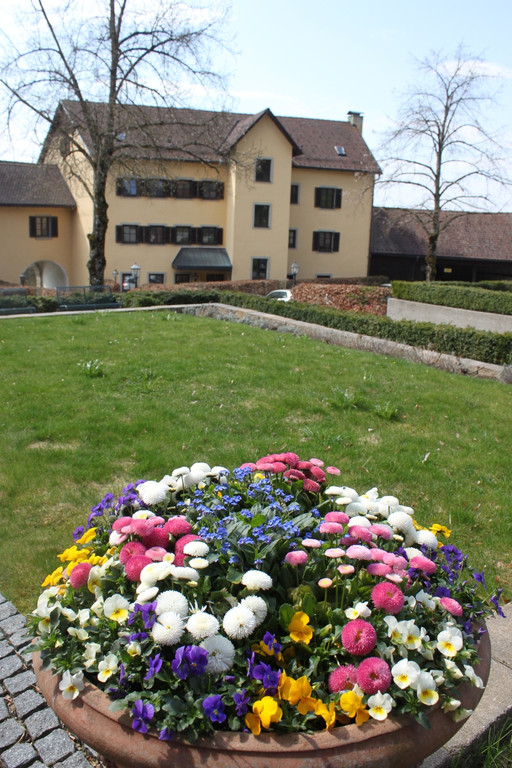 Fr__hling in Lochau April 2013 _27__jpg-1366787040