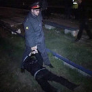 IBD0156-20130424.jpg