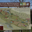 IMG_6916_jpg-1366806055