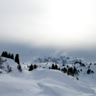 IMG_5095.jpg
