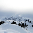 IMG_5096.jpg