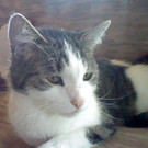 HNI_0047.JPG