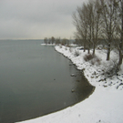 IMG_3073.JPG