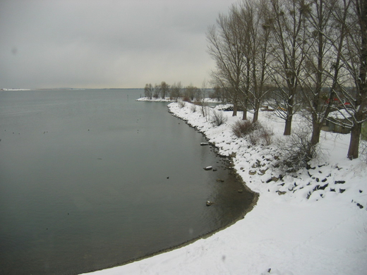 IMG_3073.JPG