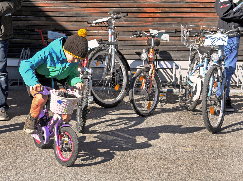 Fahrradbasar H__chst 2013 12_jpg-1366878966