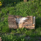 DSC_0732.JPG